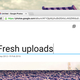 Illustration for article titled How to Use Google Photos from the Desktop